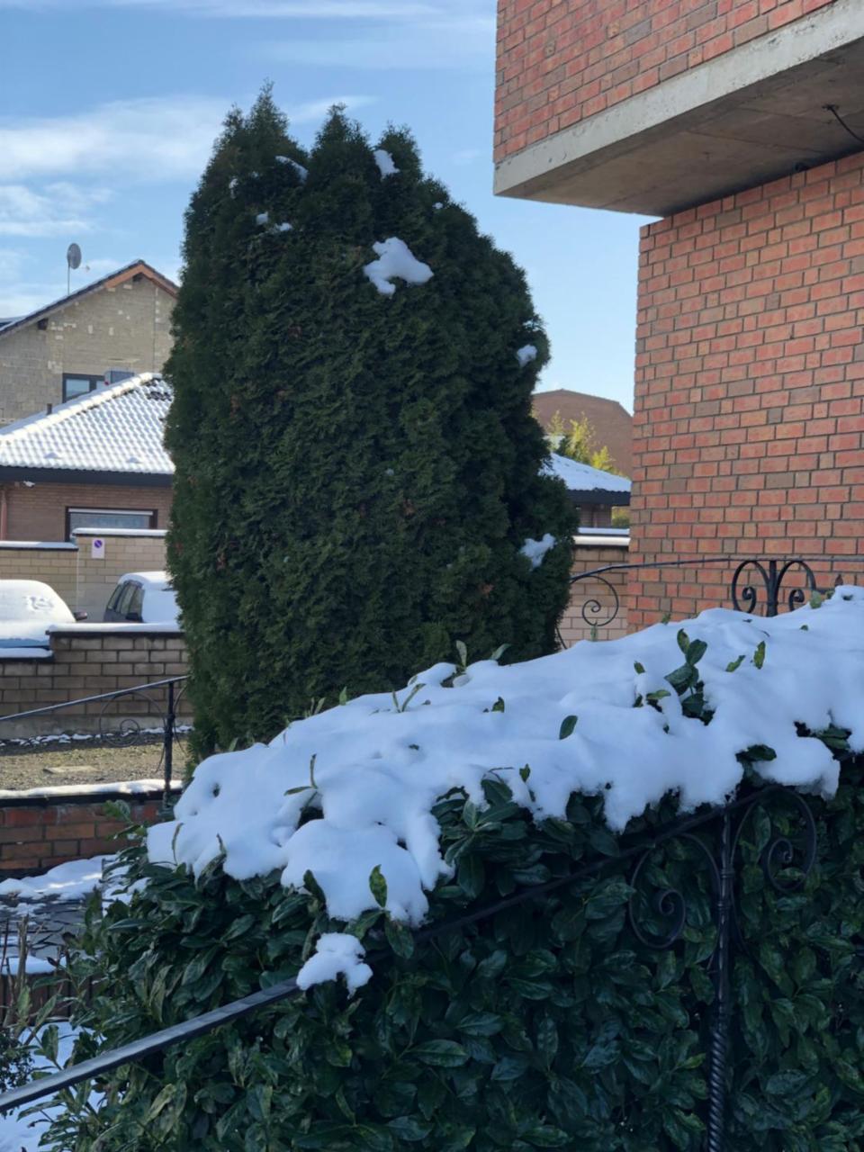 Hotel Garni Schäfer Horrem Exteriör bild